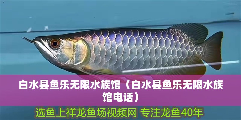 白水縣魚樂(lè)無(wú)限水族館（白水縣魚樂(lè)無(wú)限水族館電話）