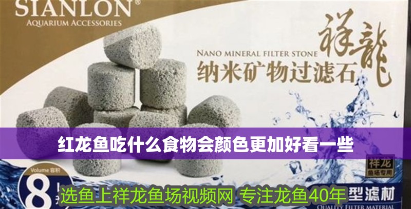紅龍魚(yú)吃什么食物會(huì)顏色更加好看一些