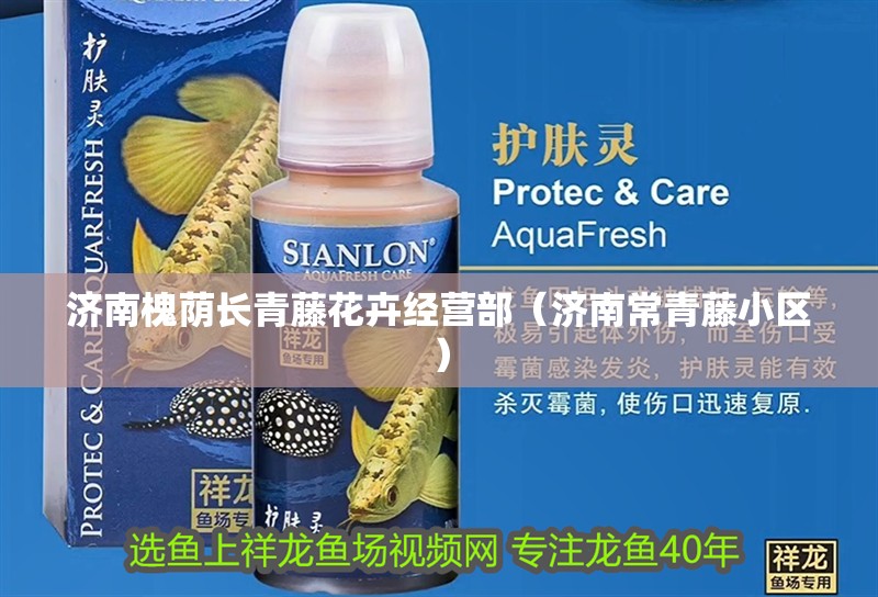 濟(jì)南槐蔭長青藤花卉經(jīng)營部（濟(jì)南常青藤小區(qū)）