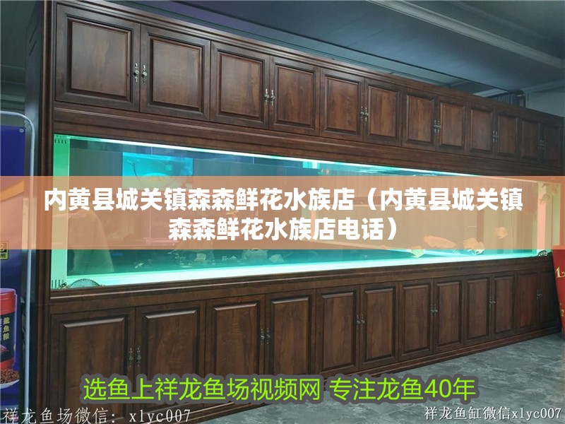 內(nèi)黃縣城關(guān)鎮(zhèn)森森鮮花水族店（內(nèi)黃縣城關(guān)鎮(zhèn)森森鮮花水族店電話）