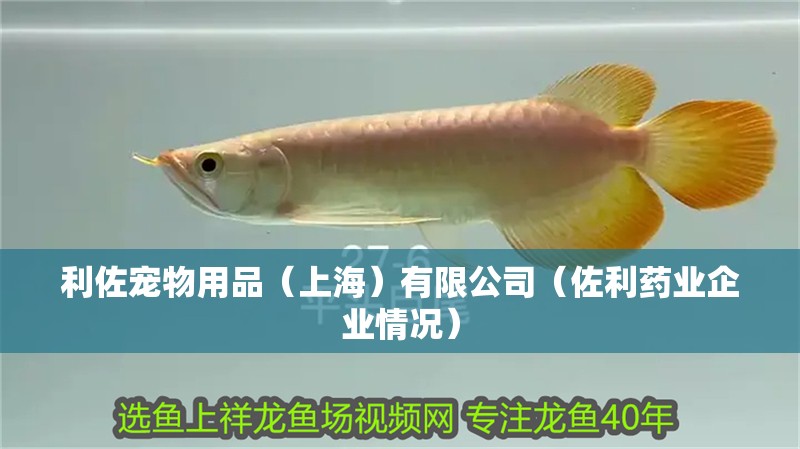 利佐寵物用品（上海）有限公司（佐利藥業(yè)企業(yè)情況）