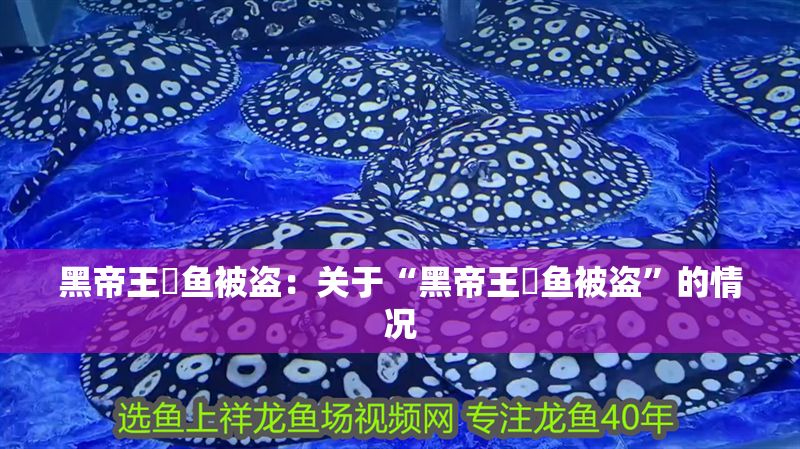 黑帝王魟魚被盜：關于“黑帝王魟魚被盜”的情況