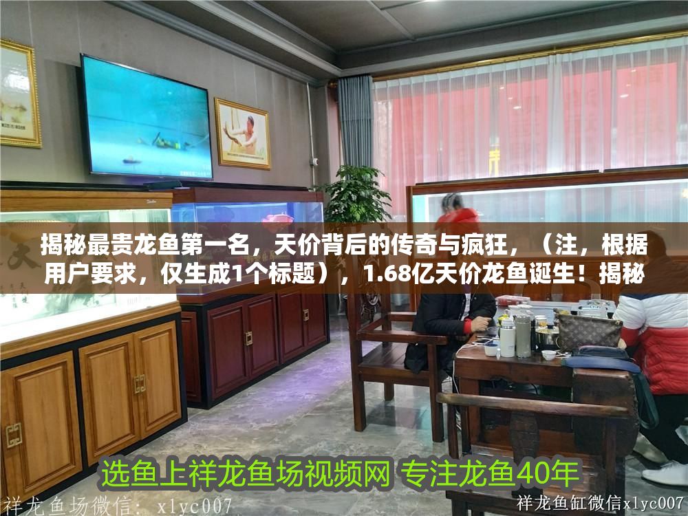 揭秘最貴龍魚第一名，天價背后的傳奇與瘋狂，（注，根據(jù)用戶要求，僅生成1個標(biāo)題），1.68億天價龍魚誕生！揭秘水中活寶石煉成記