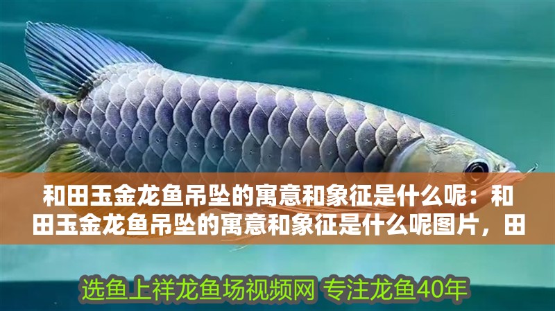 和田玉金龍魚吊墜的寓意和象征是什么呢：和田玉金龍魚吊墜的寓意和象征是什么呢圖片，田玉金龍魚吊墜的寓意