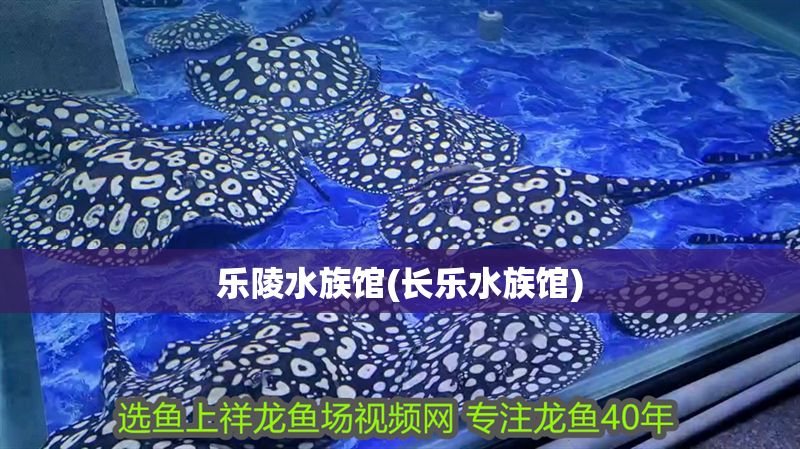 樂(lè)陵水族館(長(zhǎng)樂(lè)水族館)