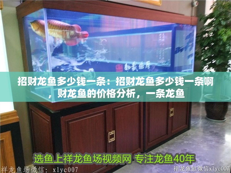 招財龍魚多少錢一條：招財龍魚多少錢一條啊，財龍魚的價格分析，一條龍魚 招財龍魚多少錢一條：招財龍魚多少錢一條啊，財龍魚的價格分析，一條龍魚 水族問答