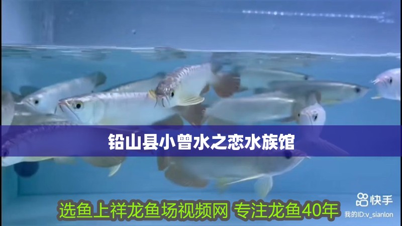 鉛山縣小曾水之戀水族館
