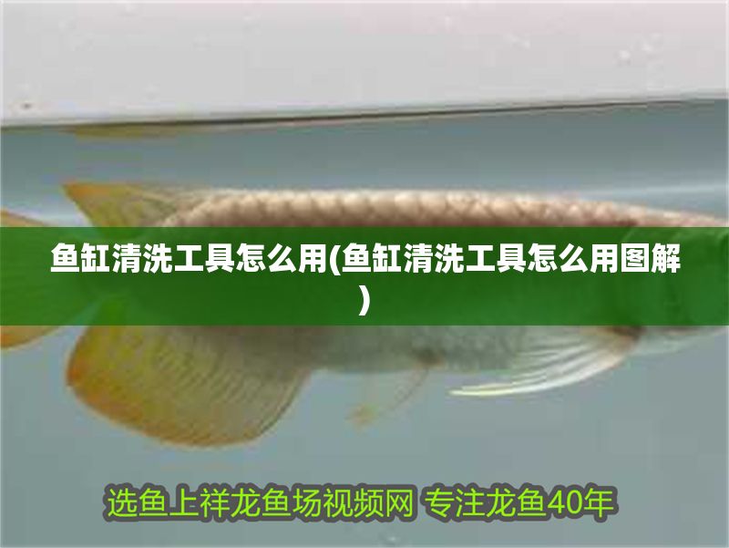 魚缸清洗工具怎么用(魚缸清洗工具怎么用圖解)