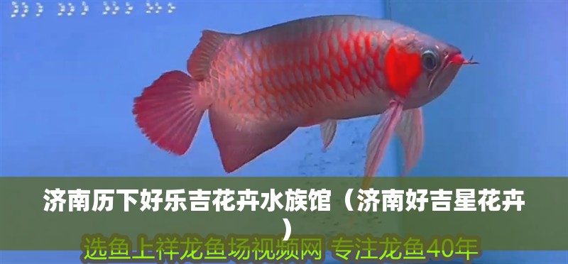 濟南歷下好樂吉花卉水族館（濟南好吉星花卉）