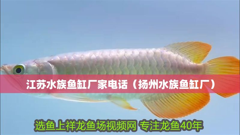 江蘇水族魚缸廠家電話（揚州水族魚缸廠） 江蘇水族魚缸廠家電話（揚州水族魚缸廠） 錦鯉魚百科 第1張