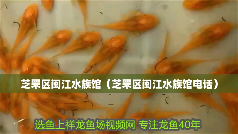 芝罘區(qū)閩江水族館（芝罘區(qū)閩江水族館電話） 芝罘區(qū)閩江水族館（芝罘區(qū)閩江水族館電話） 全國(guó)水族館企業(yè)名錄 第2張