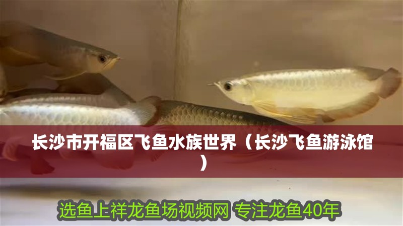 長沙市開福區(qū)飛魚水族世界（長沙飛魚游泳館）