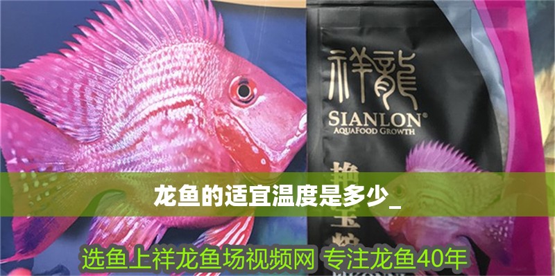 龍魚的適宜溫度是多少_