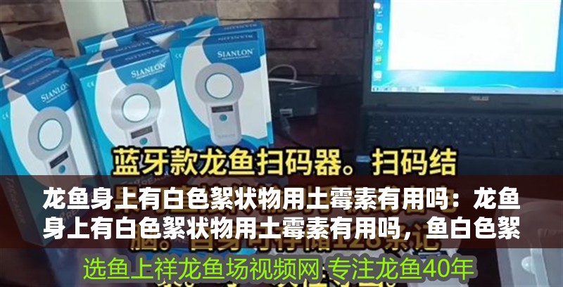 龍魚身上有白色絮狀物用土霉素有用嗎：龍魚身上有白色絮狀物用土霉素有用嗎，魚白色絮狀物治療指南，土