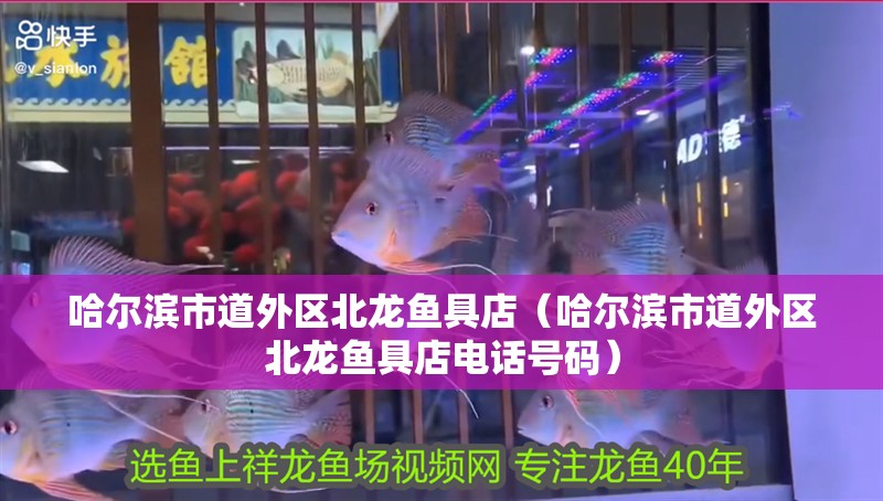 哈爾濱市道外區北龍魚具店(哈爾濱市道外區北龍魚具店電話號碼) 全國水族館企業名錄 第2張 哈爾濱市道外區北龍魚具店(哈爾濱市道外區北龍魚具店電話號碼) 哈爾濱市道外區北龍魚具店(哈爾濱市道外區北龍魚具店電話號碼) 全國水族館企業名錄 第2張