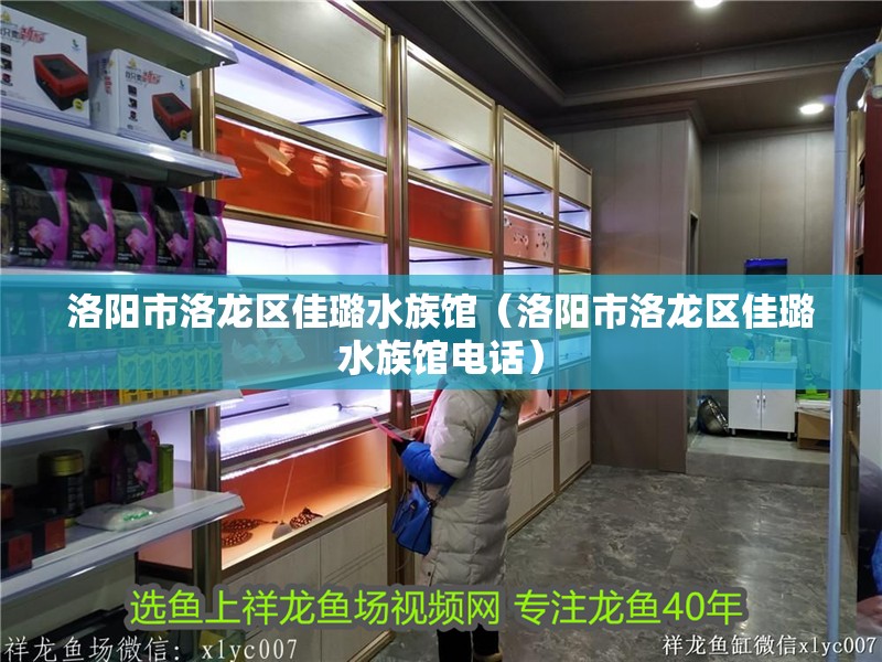 洛陽市洛龍區佳璐水族館（洛陽市洛龍區佳璐水族館電話）