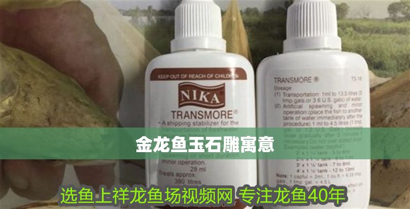 金龍魚玉石雕寓意