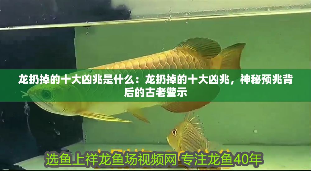 龍扔掉的十大兇兆是什么：龍扔掉的十大兇兆，神秘預兆背后的古老警示