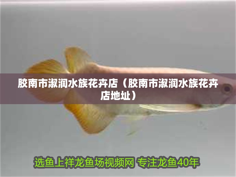 膠南市淑潤水族花卉店（膠南市淑潤水族花卉店地址）