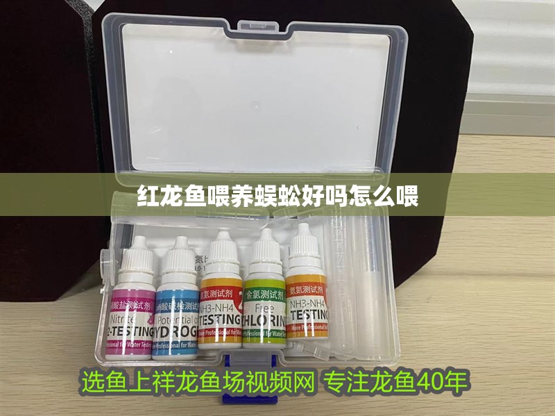 紅龍魚喂養蜈蚣好嗎怎么喂