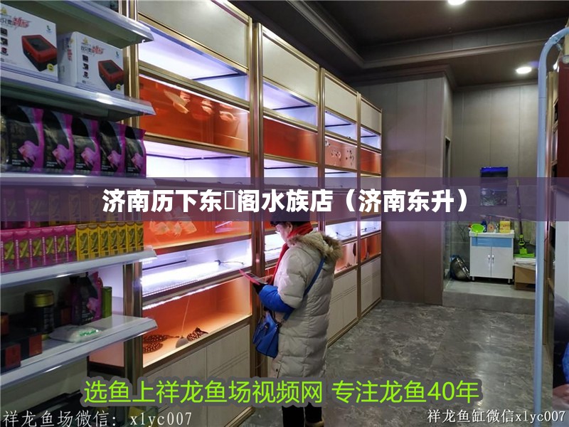 濟南歷下東昇閣水族店（濟南東升）