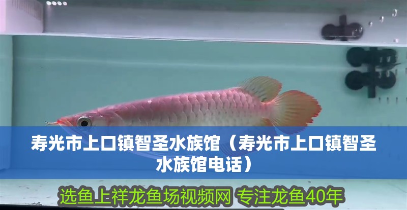 壽光市上口鎮(zhèn)智圣水族館(壽光市上口鎮(zhèn)智圣水族館電話) 全國水族館企業(yè)名錄 第2張 壽光市上口鎮(zhèn)智圣水族館(壽光市上口鎮(zhèn)智圣水族館電話) 壽光市上口鎮(zhèn)智圣水族館(壽光市上口鎮(zhèn)智圣水族館電話) 全國水族館企業(yè)名錄 第2張