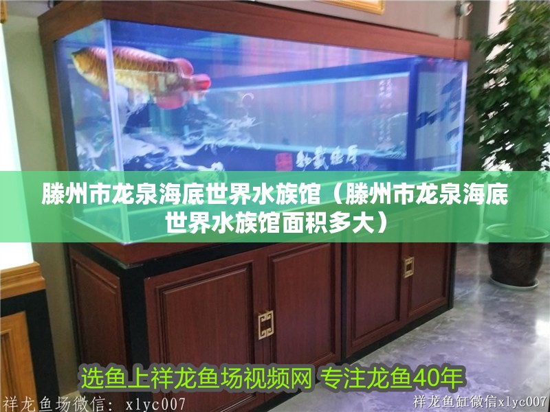 滕州市龍泉海底世界水族館（滕州市龍泉海底世界水族館面積多大）