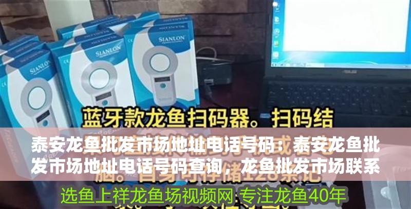 泰安龍魚批發市場地址電話號碼：泰安龍魚批發市場地址電話號碼查詢，龍魚批發市場聯系方式及