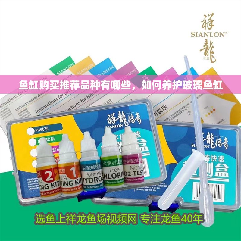 魚缸購買推薦品種有哪些，如何養護玻璃魚缸