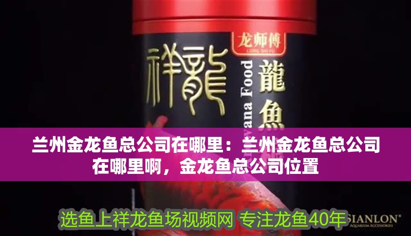 蘭州金龍魚總公司在哪里：蘭州金龍魚總公司在哪里啊，金龍魚總公司位置