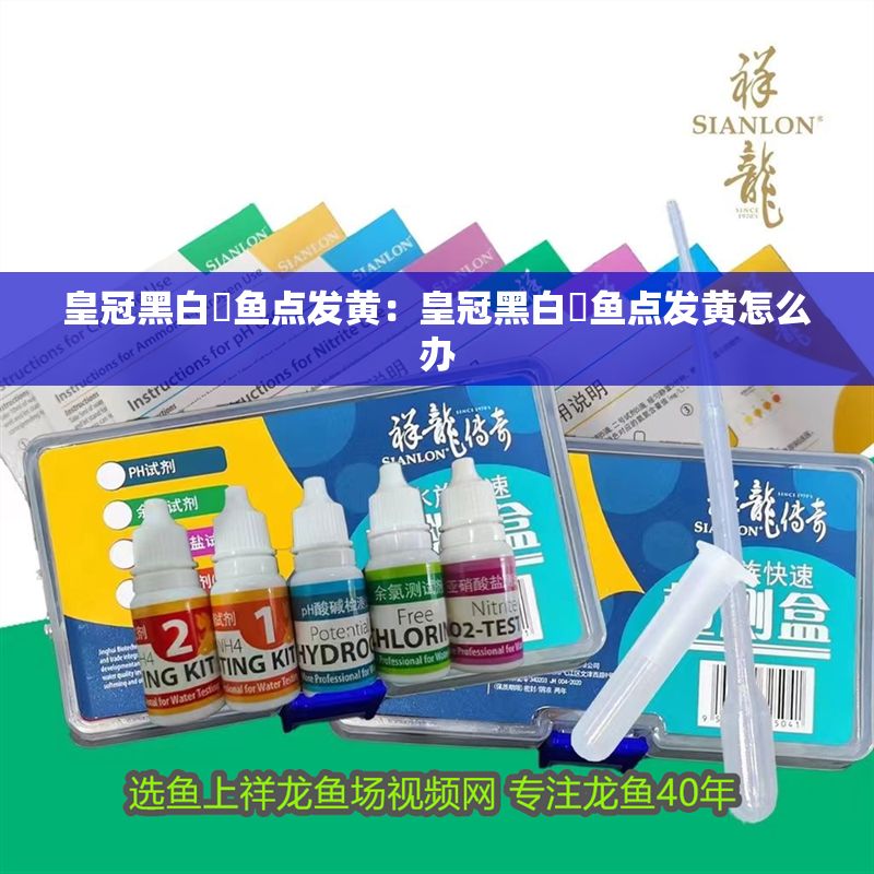 皇冠黑白魟魚點發黃：皇冠黑白魟魚點發黃怎么辦 皇冠黑白魟魚點發黃：皇冠黑白魟魚點發黃怎么辦 魟魚百科 第2張