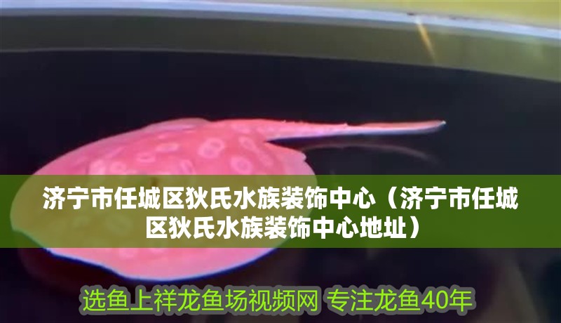 濟(jì)寧市任城區(qū)狄氏水族裝飾中心（濟(jì)寧市任城區(qū)狄氏水族裝飾中心地址） 濟(jì)寧市任城區(qū)狄氏水族裝飾中心（濟(jì)寧市任城區(qū)狄氏水族裝飾中心地址） 全國(guó)水族館企業(yè)名錄 第2張