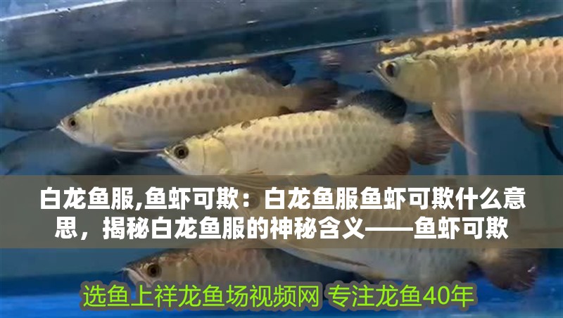 白龍魚服,魚蝦可欺：白龍魚服魚蝦可欺什么意思，揭秘白龍魚服的神秘含義——魚蝦可欺