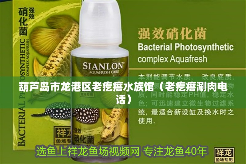 葫蘆島市龍港區(qū)老疙瘩水族館（老疙瘩涮肉電話）