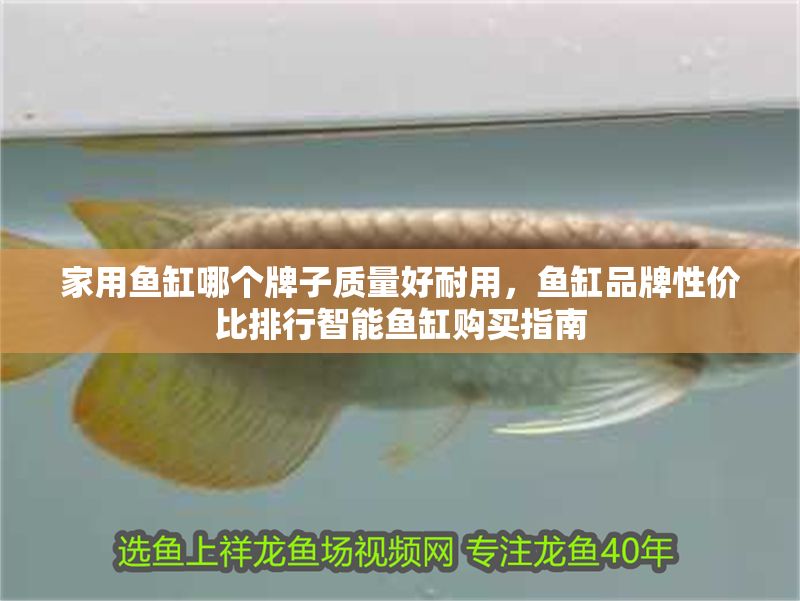 家用魚缸哪個牌子質量好耐用，魚缸品牌性價比排行智能魚缸購買指南 家用魚缸哪個牌子質量好耐用，魚缸品牌性價比排行智能魚缸購買指南 魚缸百科 第2張