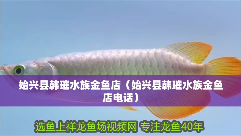 始興縣韓璀水族金魚店（始興縣韓璀水族金魚店電話）