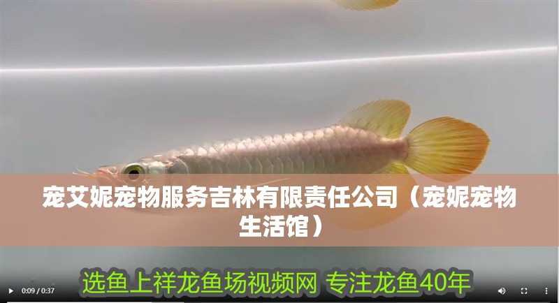 寵艾妮寵物服務吉林有限責任公司（寵妮寵物生活館）