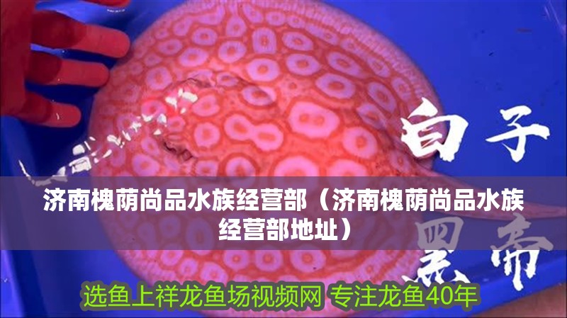 濟南槐蔭尚品水族經營部（濟南槐蔭尚品水族經營部地址）