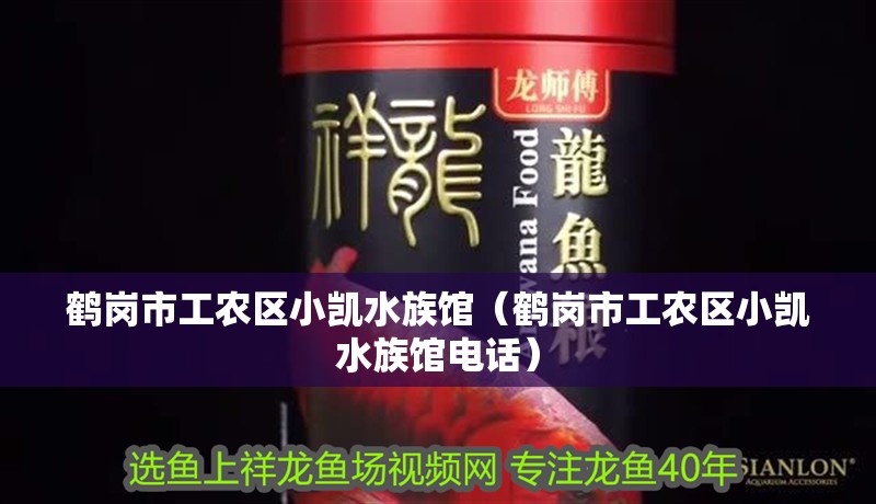 鶴崗市工農區小凱水族館（鶴崗市工農區小凱水族館電話） 鶴崗市工農區小凱水族館（鶴崗市工農區小凱水族館電話） 全國水族館企業名錄 第2張