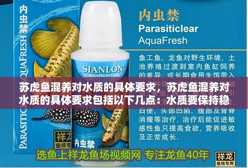 蘇虎魚混養對水質的具體要求，蘇虎魚混養對水質的具體要求包括以下幾點：水質要保持穩定 蘇虎魚混養對水質的具體要求，蘇虎魚混養對水質的具體要求包括以下幾點：水質要保持穩定 虎魚百科 第1張