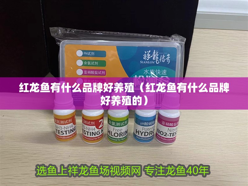 紅龍魚有什么品牌好養殖（紅龍魚有什么品牌好養殖的）