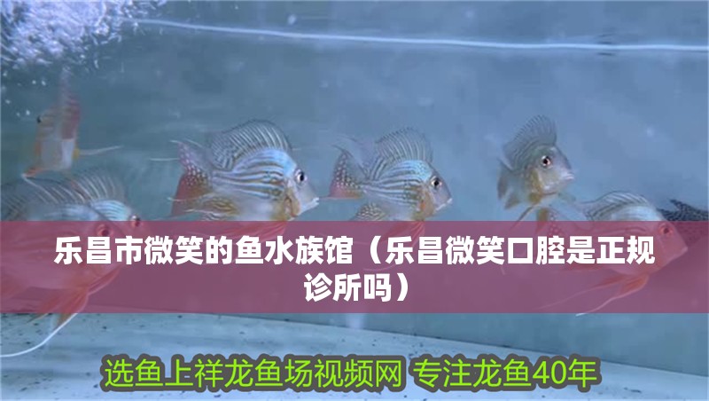 樂昌市微笑的魚水族館（樂昌微笑口腔是正規(guī)診所嗎）