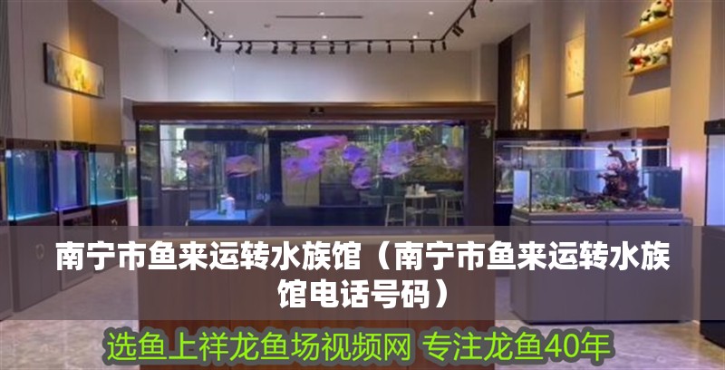 南寧市魚(yú)來(lái)運(yùn)轉(zhuǎn)水族館（南寧市魚(yú)來(lái)運(yùn)轉(zhuǎn)水族館電話(huà)號(hào)碼）