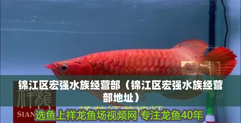 錦江區(qū)宏強(qiáng)水族經(jīng)營(yíng)部（錦江區(qū)宏強(qiáng)水族經(jīng)營(yíng)部地址）