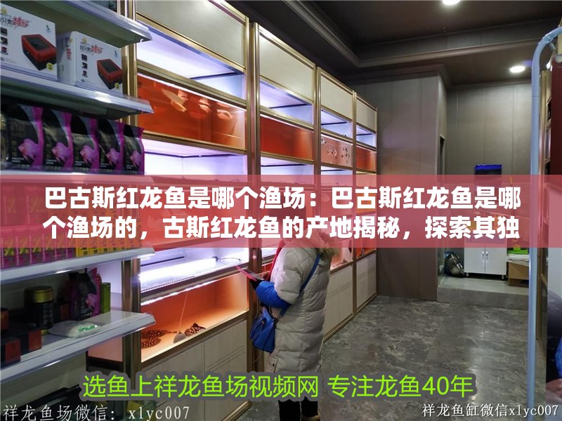 巴古斯紅龍魚(yú)是哪個(gè)漁場(chǎng)：巴古斯紅龍魚(yú)是哪個(gè)漁場(chǎng)的，古斯紅龍魚(yú)的產(chǎn)地揭秘，探索其獨(dú)特的漁場(chǎng)