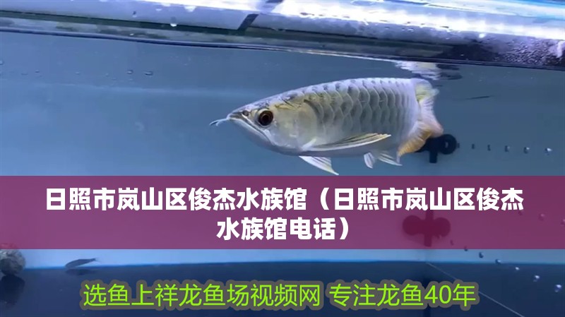日照市嵐山區(qū)俊杰水族館（日照市嵐山區(qū)俊杰水族館電話）