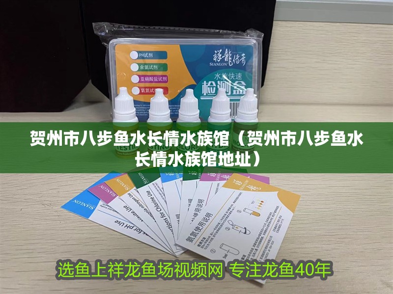 賀州市八步魚水長情水族館（賀州市八步魚水長情水族館地址）