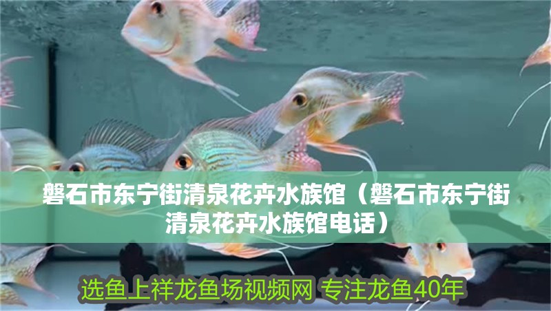 磐石市東寧街清泉花卉水族館（磐石市東寧街清泉花卉水族館電話）