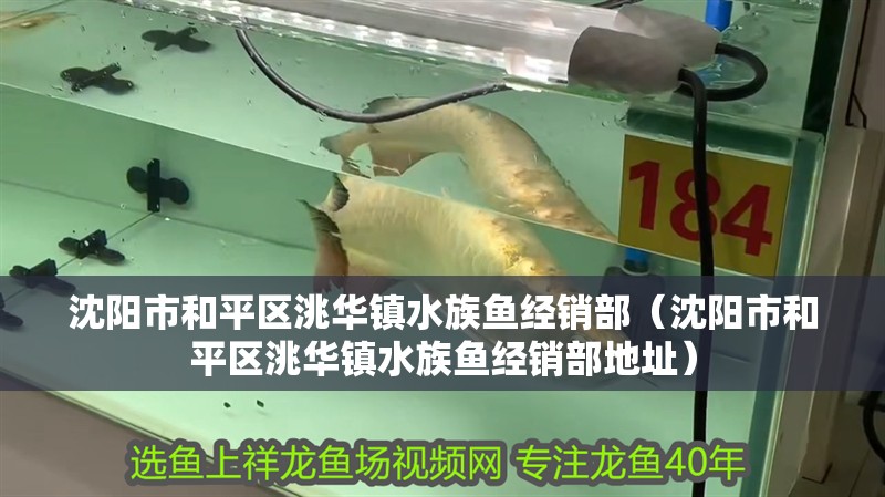 沈陽市和平區(qū)洮華鎮(zhèn)水族魚經(jīng)銷部(沈陽市和平區(qū)洮華鎮(zhèn)水族魚經(jīng)銷部地址) 全國水族館企業(yè)名錄 第2張 沈陽市和平區(qū)洮華鎮(zhèn)水族魚經(jīng)銷部(沈陽市和平區(qū)洮華鎮(zhèn)水族魚經(jīng)銷部地址) 沈陽市和平區(qū)洮華鎮(zhèn)水族魚經(jīng)銷部(沈陽市和平區(qū)洮華鎮(zhèn)水族魚經(jīng)銷部地址) 全國水族館企業(yè)名錄 第2張
