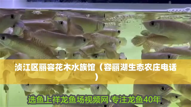 湞江區麗容花木水族館（容麗湖生態農莊電話）